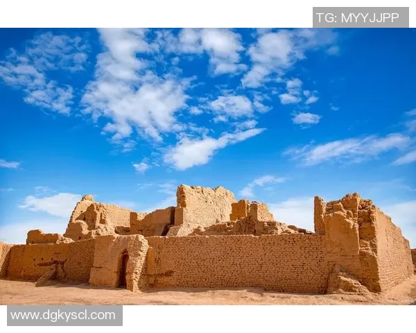 探索阿拉巴的魅力与文化深度，揭开这片神秘土地的历史与未来发展之路